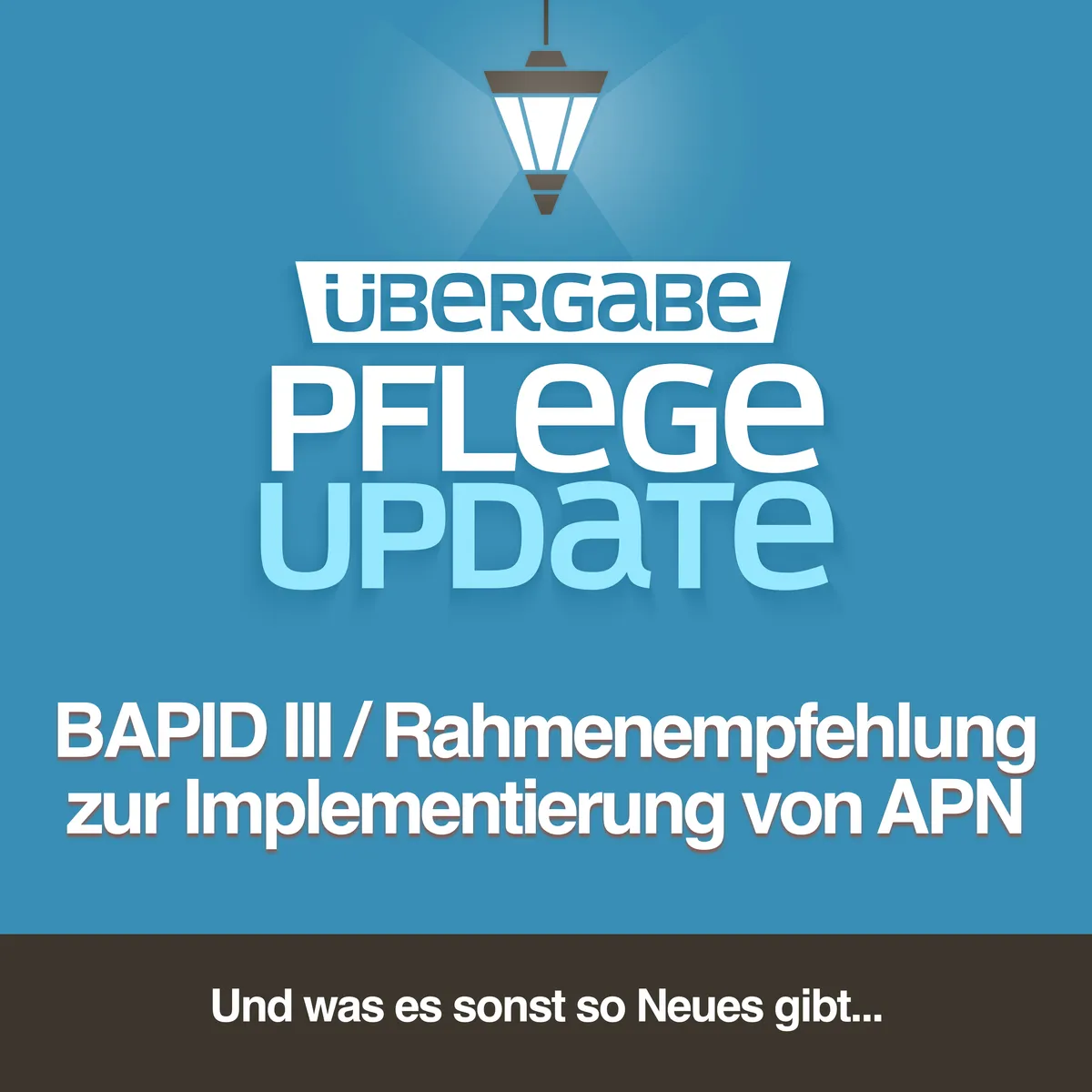 BAPID III / Rahmenempfehlung zur Implementierung von APN in deutschen Krankenhäusern