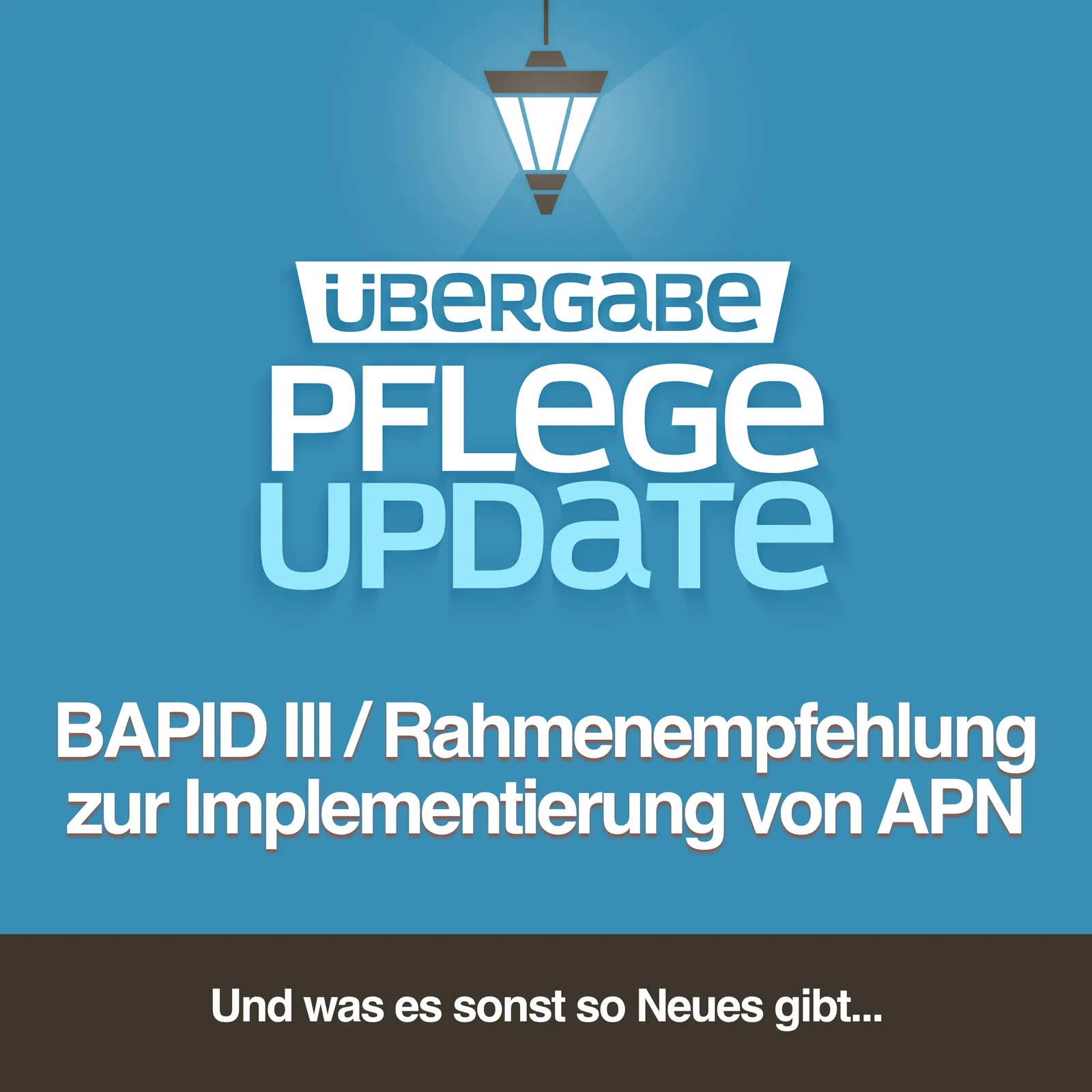 BAPID III / Rahmenempfehlung zur Implementierung von APN in deutschen Krankenhäusern